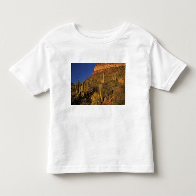Camiseta De Bebé Norteamérica, EE.UU., Arizona, Cactus de tuberías  (Anverso)