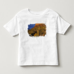 Camiseta De Bebé Norteamérica, EE.UU., Arizona, Cactus de tuberías 