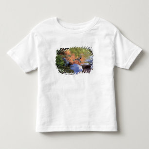 Camiseta De Bebé Norteamérica, EE. UU., Arizona, Cañón Havasu, 3