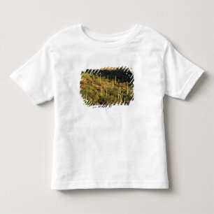 Camiseta De Bebé Norteamérica, EE. UU., Arizona, Desierto de Sonora