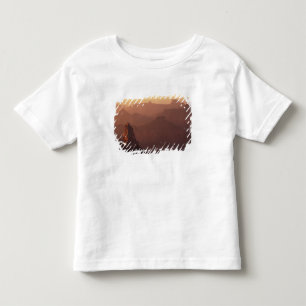 Camiseta De Bebé Norteamérica, EE. UU., Arizona, Gran Cañón,