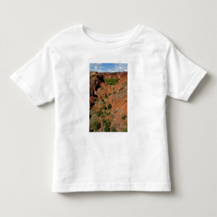 Camiseta De Bebé Norteamérica, EE. UU., Arizona, indio navajo