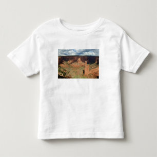 Camiseta De Bebé Norteamérica, EE. UU., Arizona, indio navajo 6