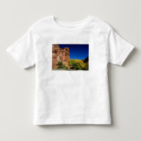 Norteamérica, EE. UU., Arizona, Navajo indio 3