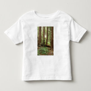 Camiseta De Bebé Norteamérica, EE. UU., California, Big Sur,
