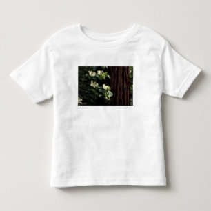 Camiseta De Bebé Norteamérica, EE. UU., California, Yosemite 2