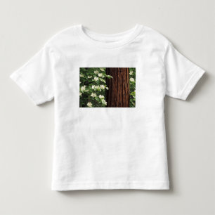 Camiseta De Bebé Norteamérica, EE. UU., California, Yosemite 3