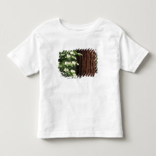 Camiseta De Bebé Norteamérica, EE. UU., California, Yosemite 3