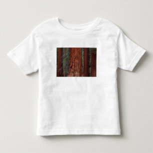 Camiseta De Bebé Norteamérica, EE. UU., California, Yosemite NP, 2