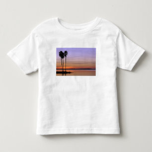 Camiseta De Bebé Norteamérica, EE. UU., Florida, Mt. Dora, un trío