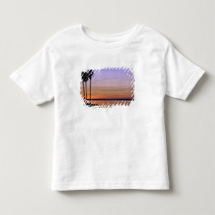 Camiseta De Bebé Norteamérica, EE. UU., Florida, Mt. Dora, un trío