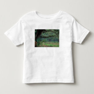 Camiseta De Bebé Norteamérica, EE. UU., Georgia, Cumberland