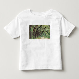 Camiseta De Bebé Norteamérica, EE. UU., Georgia, Cumberland 2