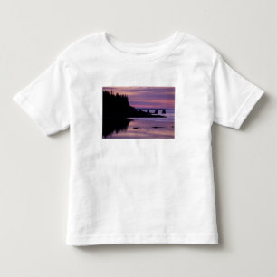 Camiseta De Bebé Norteamérica, EE. UU., ME, Isle Au Haut. Pato