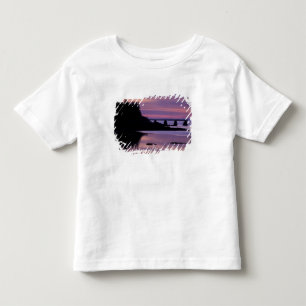 Camiseta De Bebé Norteamérica, EE. UU., ME, Isle Au Haut. Pato