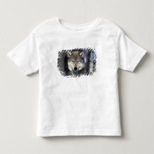 Camiseta De Bebé Norteamérica, EE. UU., Minnesota. Lobo Canis