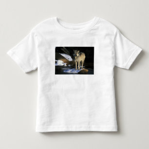 Camiseta De Bebé Norteamérica, EE. UU., Minnesota. Lobo (Canis
