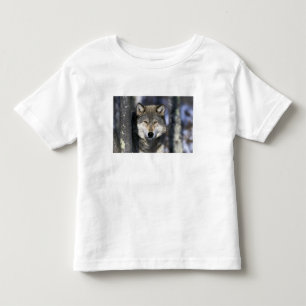 Camiseta De Bebé Norteamérica, EE. UU., Minnesota. Lobo Canis