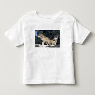 Camiseta De Bebé Norteamérica, EE. UU., Minnesota. Lobo Canis 2