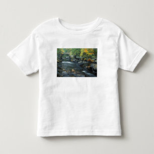 Camiseta De Bebé Norteamérica, EE. UU., NH, El puente en Packers