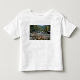 Camiseta De Bebé Norteamérica, EE. UU., NH, Follaje de otoño en Nue