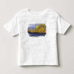 Camiseta De Bebé Norteamérica, EE. UU., NH, río Saco. Guijarro