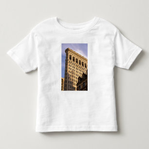 Camiseta De Bebé Norteamérica, EE. UU., Nueva York, Ciudad de Nueva