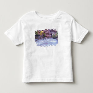 Camiseta De Bebé Norteamérica, EE. UU., Utah, Parque Nacional Zion.
