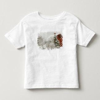 Camiseta De Bebé Norteamérica, EE. UU., WA, Isla Whidbey.