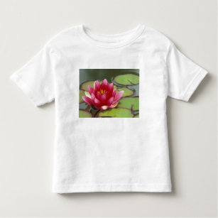 Camiseta De Bebé Norteamérica, EE.UU., WA, Seattle, Woodland Park