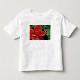 Camiseta De Bebé Norteamérica, EE. UU., WA, Woodinville, Rojo