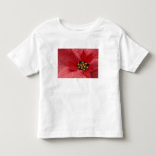 Camiseta De Bebé Norteamérica, EE. UU., WA, Woodinville, Rojo 2