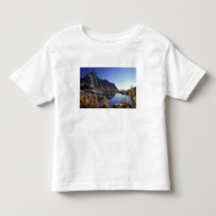 Camiseta De Bebé Norteamérica, EE. UU., Washington, Encantamiento