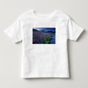 Camiseta De Bebé Norteamérica, EE. UU., Washington, Monte Rainier 6