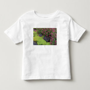Camiseta De Bebé Norteamérica, EE. UU., Washington, Mt. Rainier
