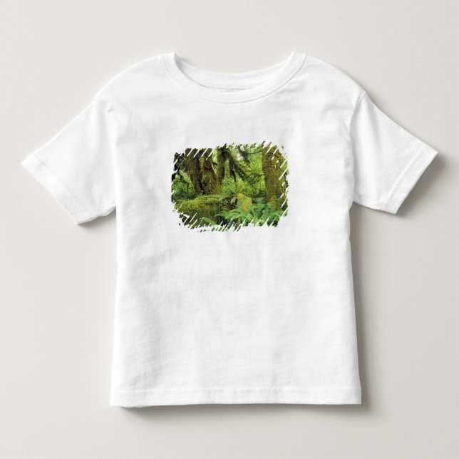 Camiseta De Bebé Norteamérica, EE. UU., Washington, Olímpico 3 (Anverso)