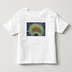 Camiseta De Bebé Norteamérica, EE. UU., Washington, Olímpico 4
