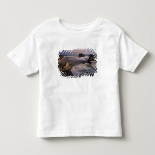 Camiseta De Bebé Norteamérica, EE. UU., Washington, Parque Nacional