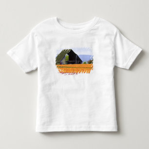 Camiseta De Bebé Norteamérica, EE. UU., Washington, Valle de Skagit