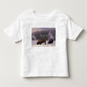 Camiseta De Bebé Norteamérica, EE.UU., Wyoming, Yellowstone NP,