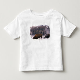 Camiseta De Bebé Norteamérica, EE. UU., Wyoming, Yellowstone NP,