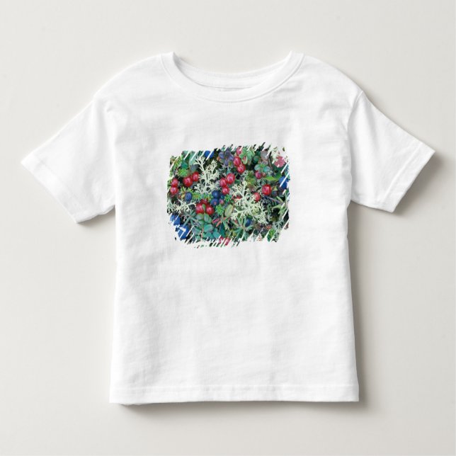 Camiseta De Bebé Norteamérica, Estados Unidos, Alaska, Paisaje, bay (Anverso)