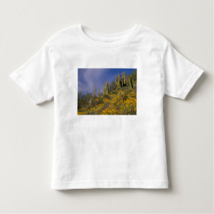 Camiseta De Bebé Norteamérica, Estados Unidos, Arizona, Cactus de t