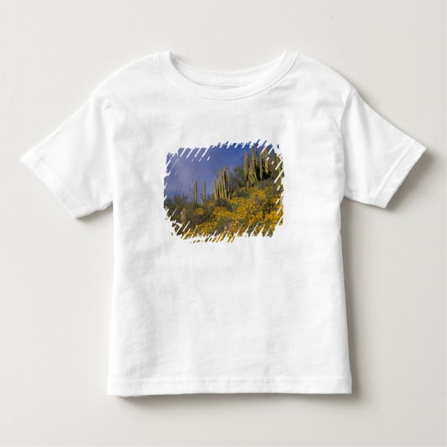 Camiseta De Bebé Norteamérica, Estados Unidos, Arizona, Cactus de t (Anverso)