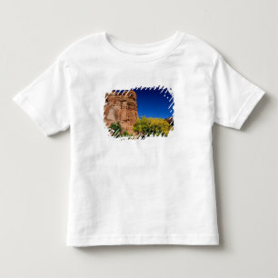 Camiseta De Bebé Norteamérica, Estados Unidos, Arizona, Indio Nava