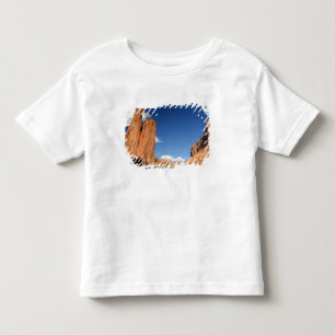 Camiseta De Bebé Norteamérica, Estados Unidos, Arizona, Indio Nava
