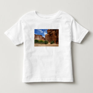 Camiseta De Bebé Norteamérica, Estados Unidos, Arizona, Indio Nava