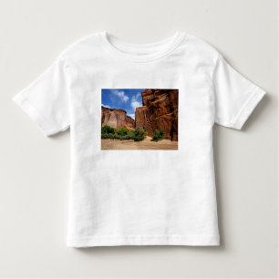 Camiseta De Bebé Norteamérica, Estados Unidos, Arizona, Indio Navaj