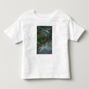Camiseta De Bebé Norteamérica, Estados Unidos, Nueva Inglaterra. Ac