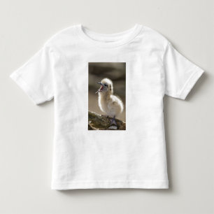 Camiseta De Bebé Norteamérica, Islas hawaianas del noroeste,